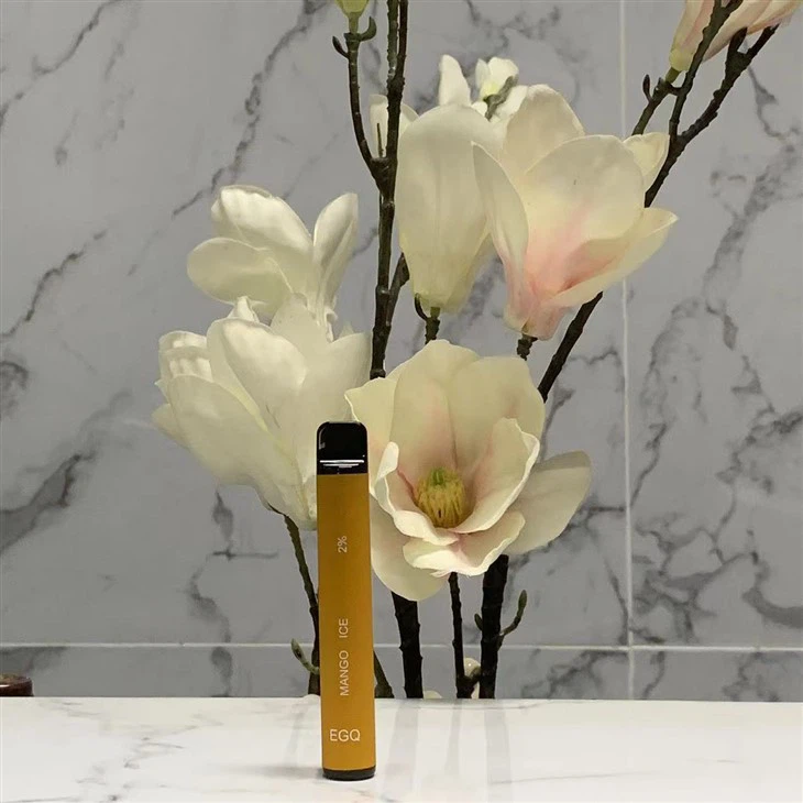 Disposable 2 Ml Vape Pen With 600 Puffs