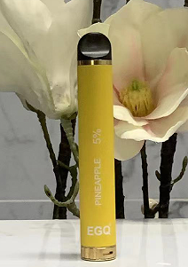 Hot 800 Puffs Disposable E Cig