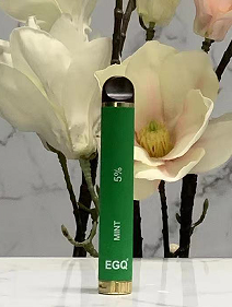 Hot 800 Puffs Disposable E Cig